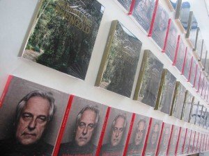 Exposición Bienal (1)