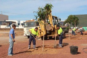 La instalación de riego por goteo en localidades de Yaiza  facilita el mantenimiento de jardines. 