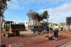 Terrenos próximos al centro de salud de Playa Blanca web