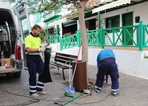 Calle Limones