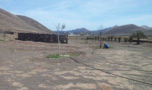 Los últimos trabajos se realizaron en el Bosquecillo de La Degollada. 