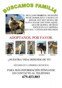 Contacta si estás interesado.