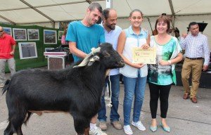Cientos de personas asisten a la exhibición de 400 animales, de 50 ganaderos de Lanzarote, en la VII Muestra de Ganado San Isidro Labrador.