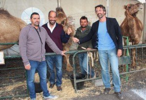 Visita responsables del Cabildo insular.