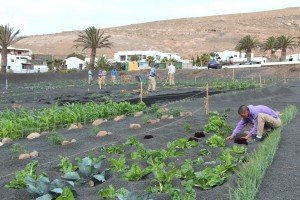 La iniciativa es un claro impulso al sector primario. 