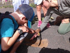 Conocieron el proyecto de agricultura ecológica de la Casona de Femés.
