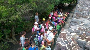 El programa está muy bien valorado entre los beneficiarios.