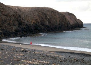 El Ayuntamiento habilita esta playa en horario reducido estableciendo estrictas normas de higiene y seguridad para preservar el medio ambiente y la salud pública.