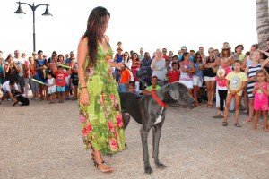 Concurso popular de perros. 