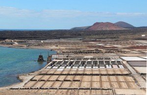 La Administración acuerda la bonificación del 95% del Impuesto de Construcciones y Obras para que la propiedad ejecute el proyecto Centro de Interpretación y Visitantes Casa de la Sal.
