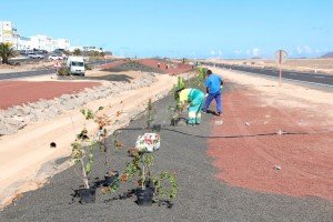 La Institución planta especies vegetales en la mediana y remata el proyecto de conservación del entorno y canalización de aguas pluviales.