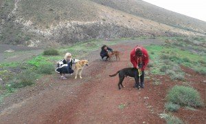IMG-20150202-WA0002