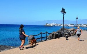 Copia de DSC_0037