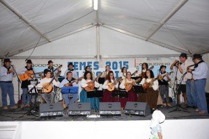 FUNCION NUESTRA SEÑORA DEL ROSARIO FEMES 2015 (258)