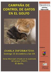Charla gatos