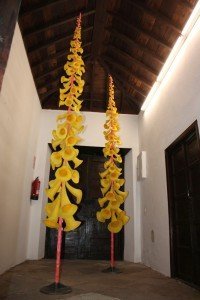 IMG_0776