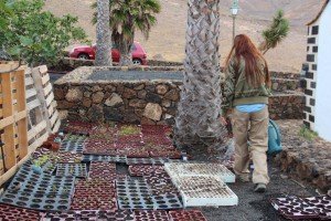 Quedan diez plazas para la nueva sesión formativa propuesta por el Ayuntamiento